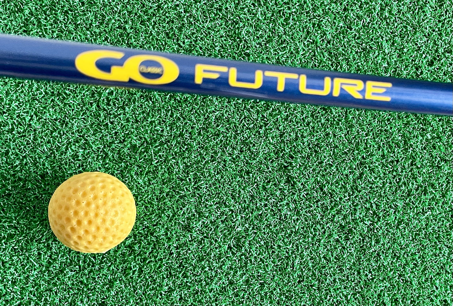 GO Future