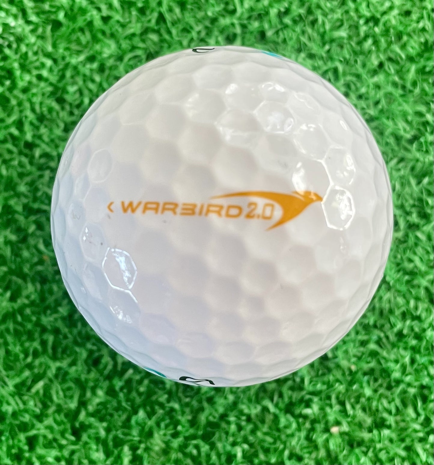 Warbird