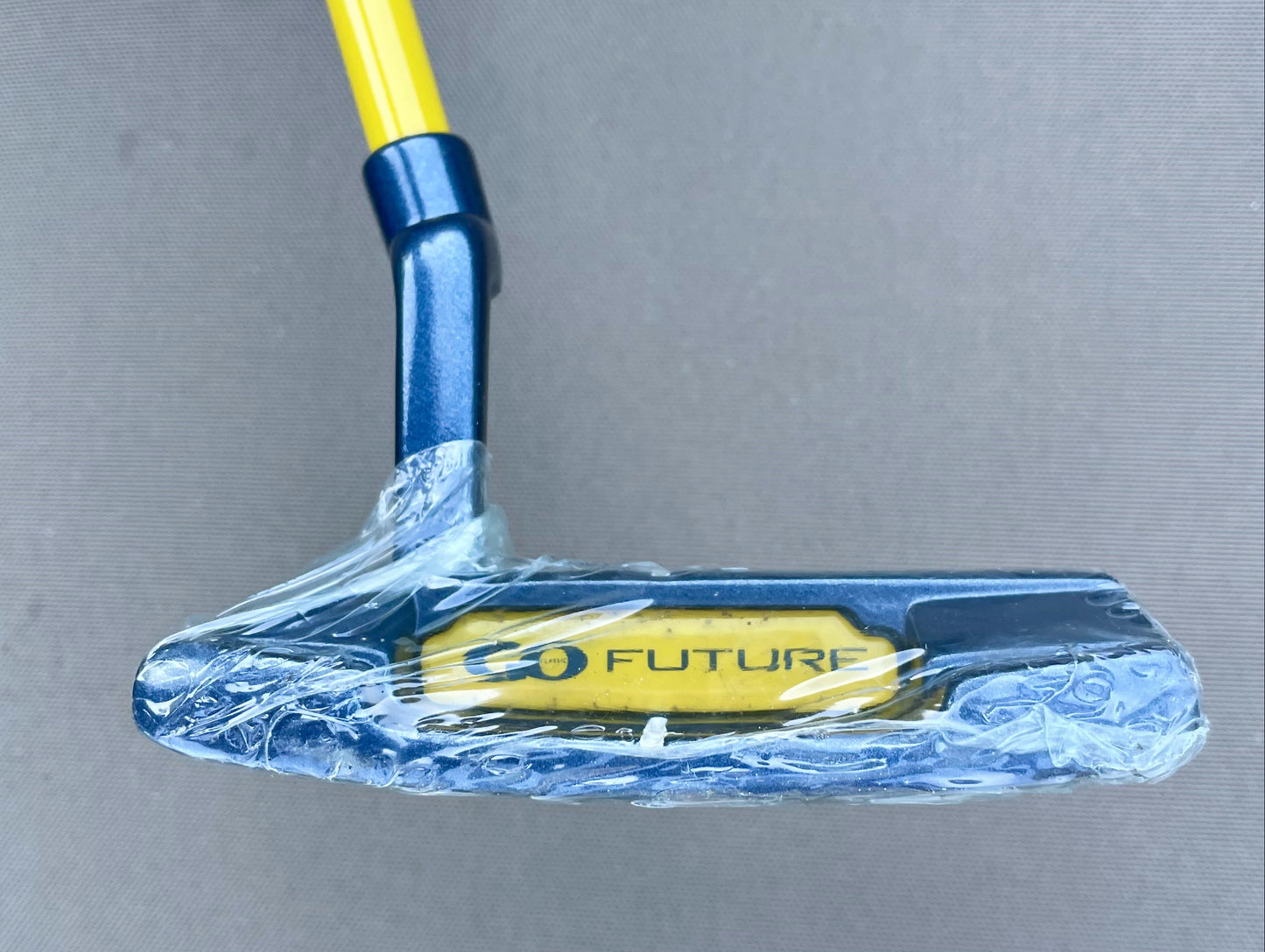 GO Future